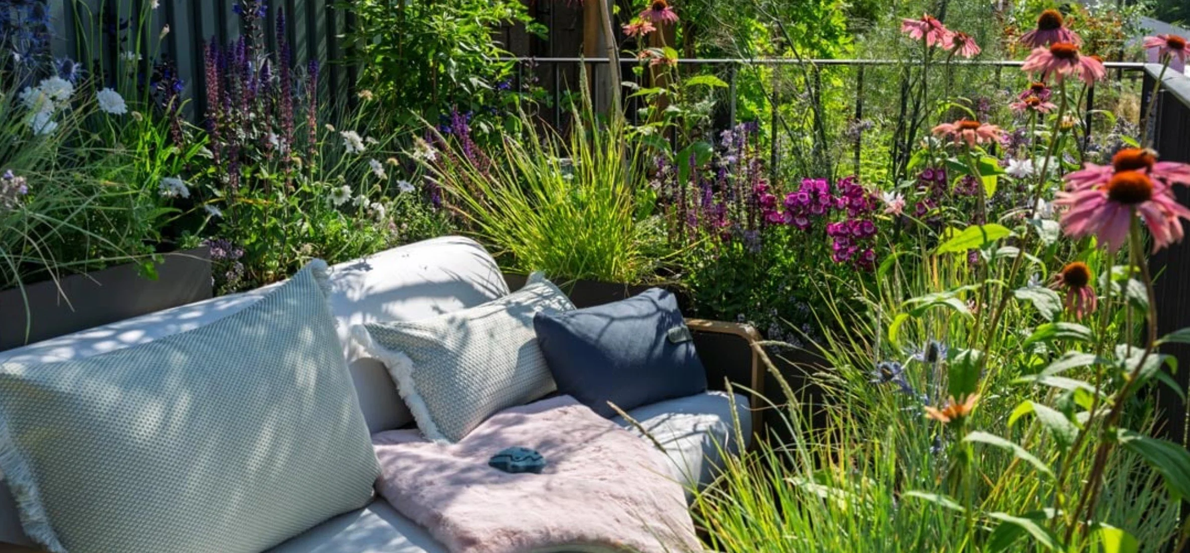 Whiskers and Wild Flowers